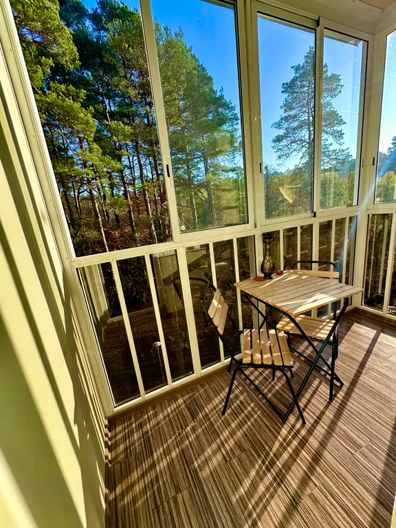 Квартира Уютная студия в сосновом лесу — аренда посуточно в Светлогорск