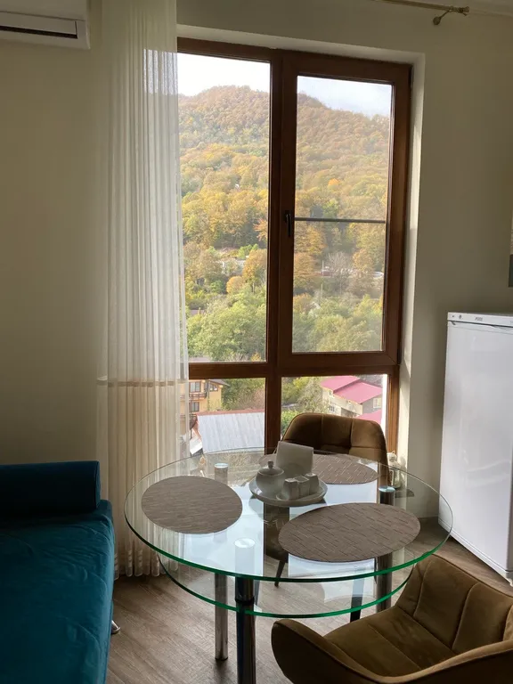 Сдается однокомнатная квартира в центре Красной поляны.