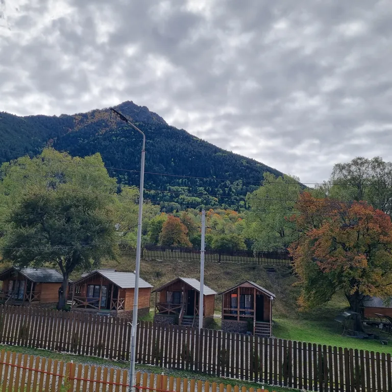 Уютный коттедж в хвойном лесу