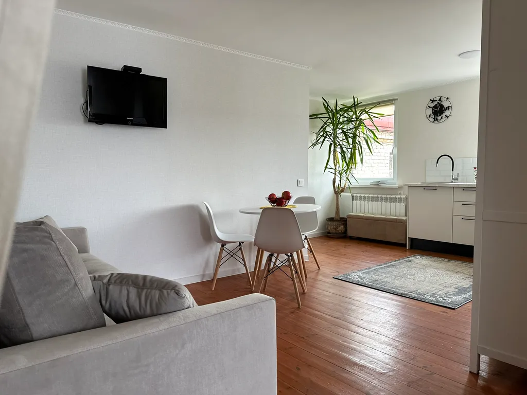 Просторная студия с видом на старинный Гродно