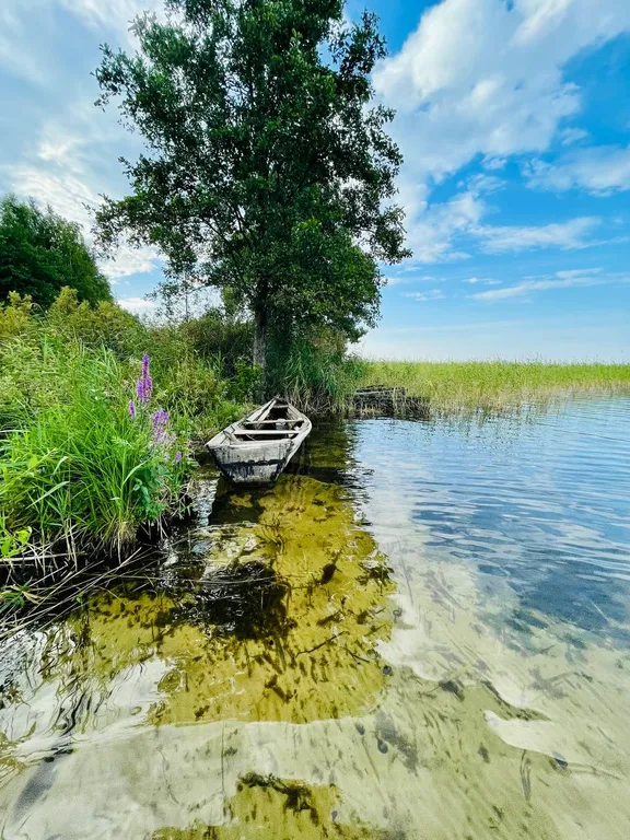 Дом для большой компании на Браславских озерах