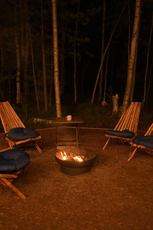 Монте в окружении леса