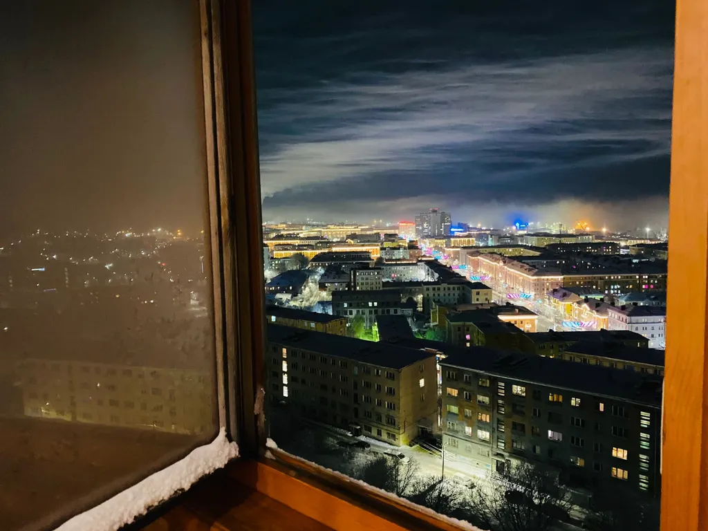 1-комнатная квартира с красивым видом на город