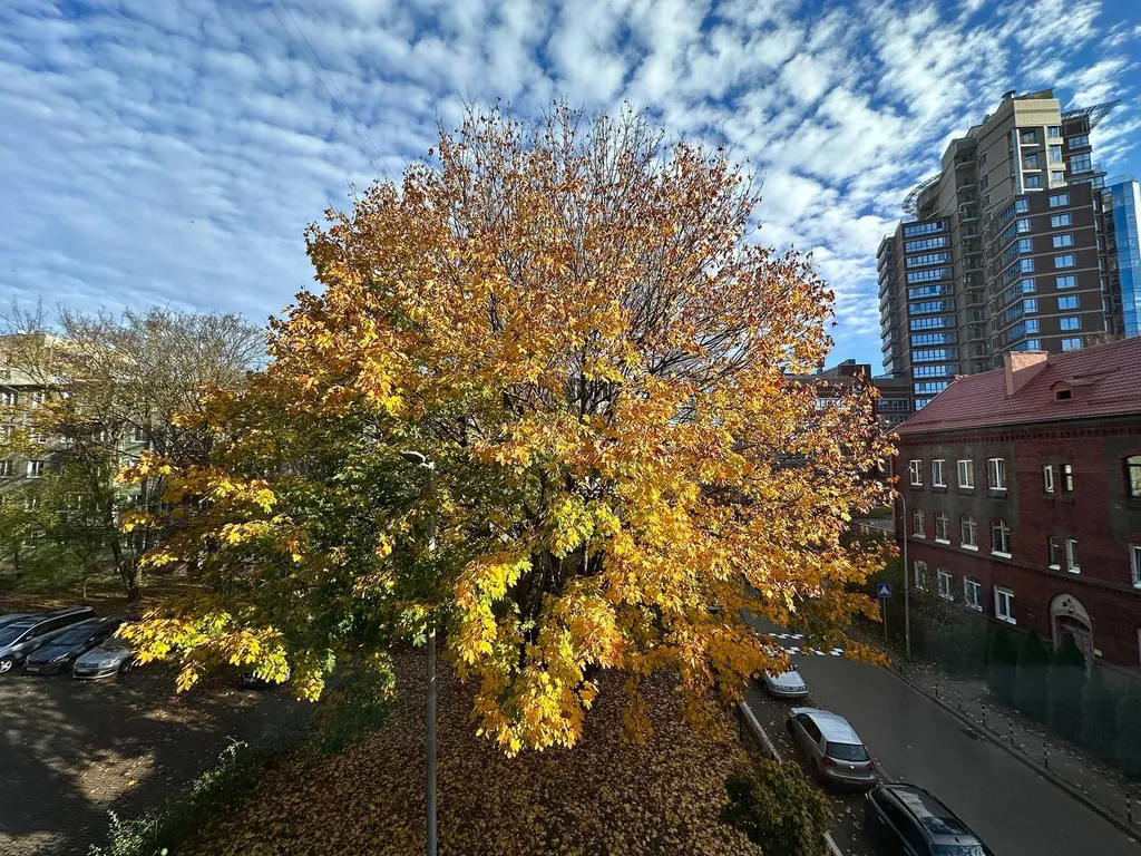 Квартира Апартаменты Закхайм — Калининград