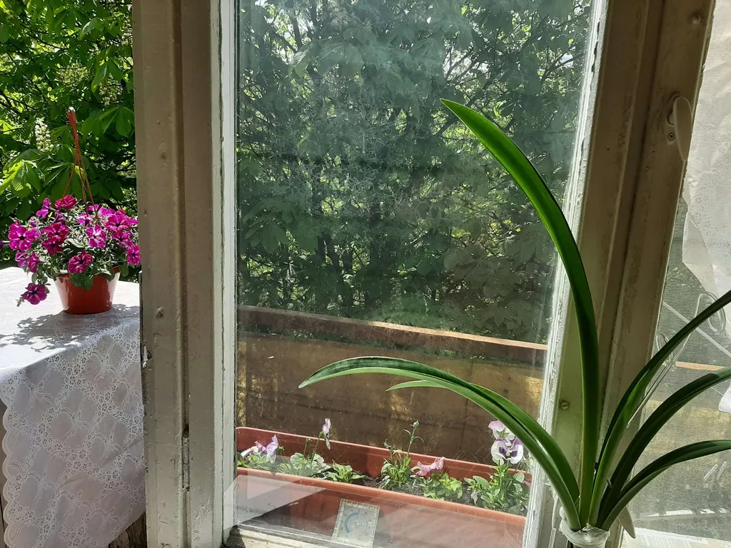 Уютная квартира в оживленном месте