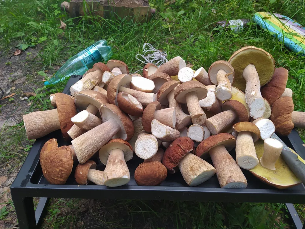 4-комнатный Дом