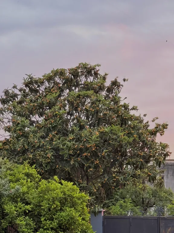 Уютный коттедж