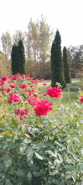 Домик с русской печкой и со всеми удобствами