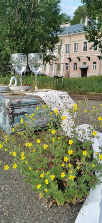 Апартаменты Фарфор и соловей