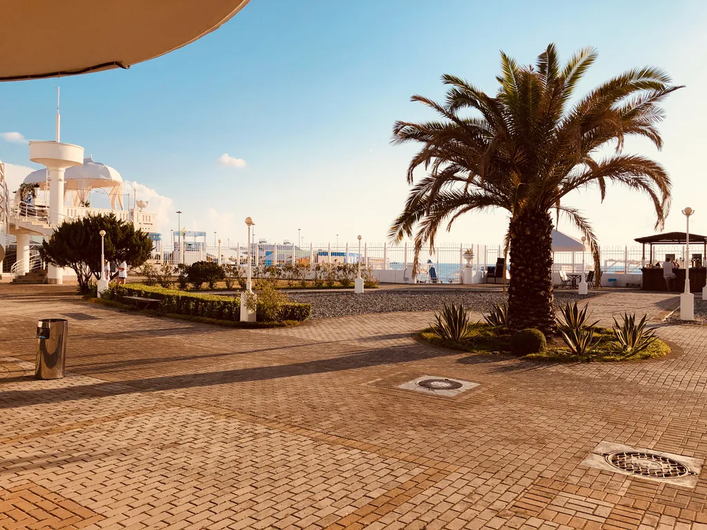 Квартира Апартаменты Светлана-Центр с видом на сад магнолий — Сочи