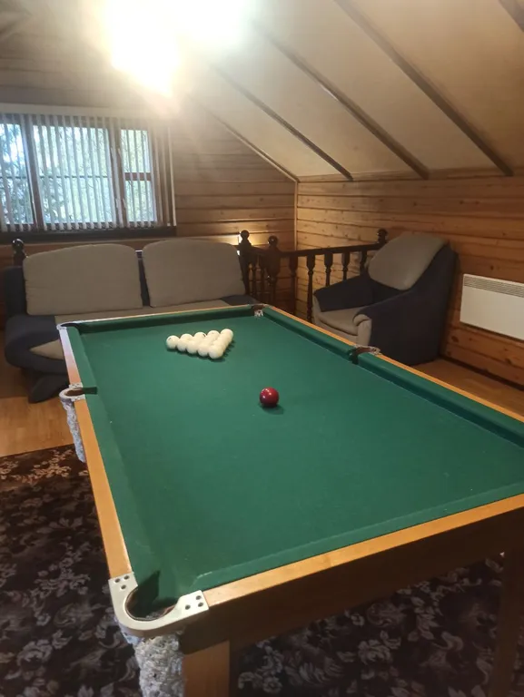 Дом на лесной опушке с банeй на дpовax и бильярдом