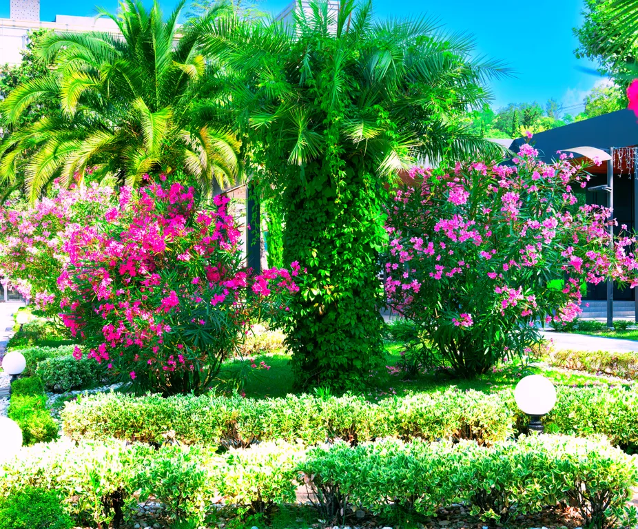 Лазурные апартаменты на берегу моря в отеле Лучезарный Резорт 4