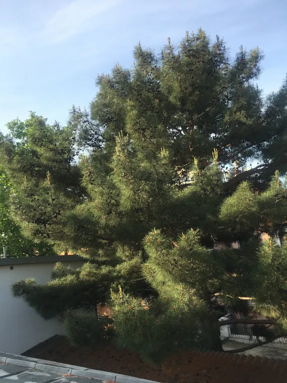 Коттедж Уютный домик — Ялта