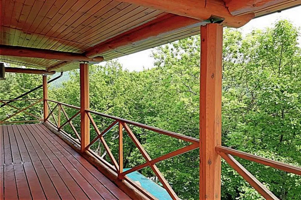 Бревенчатый дом в лесу с бассейном