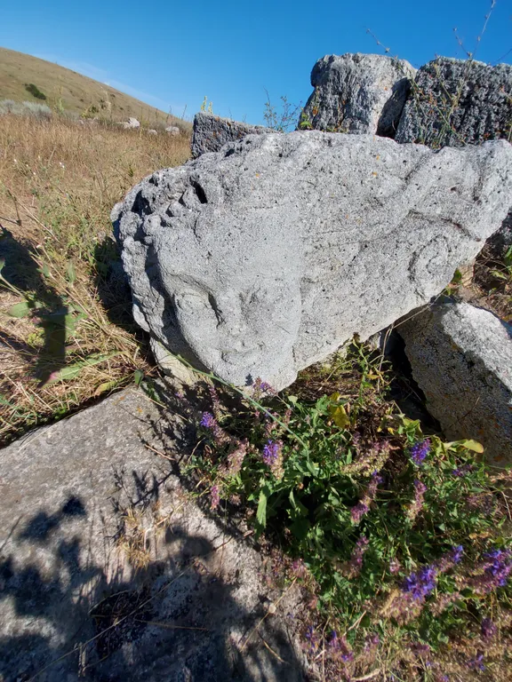 Апартаменты с одной спальней