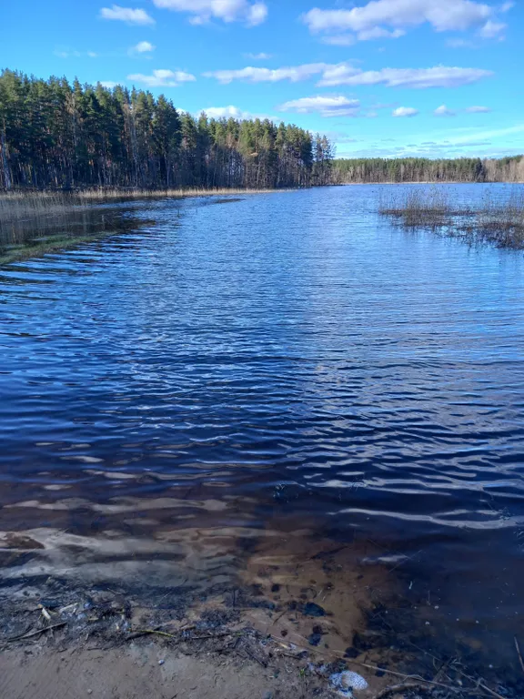 Дом на берегу реки Вуоксы