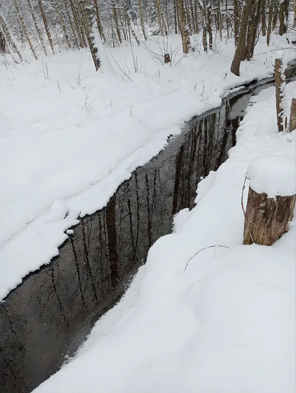 Коттедж Уютный, зимний эко-дом Сафари с потрясающим видом на ручей и лес — Зеленая Роща