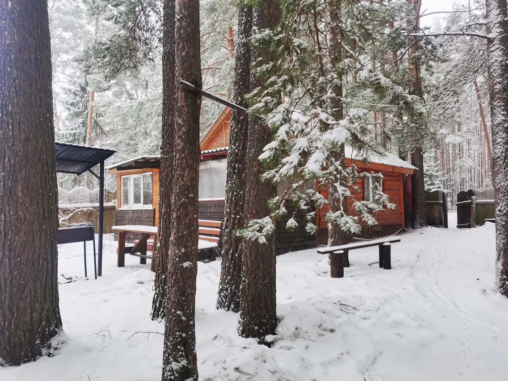 Дом в турбазе Чайка, у озера в сосновом бору - Селигерский край