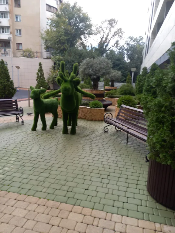 Квартира Уютная квартира в центре — Сочи