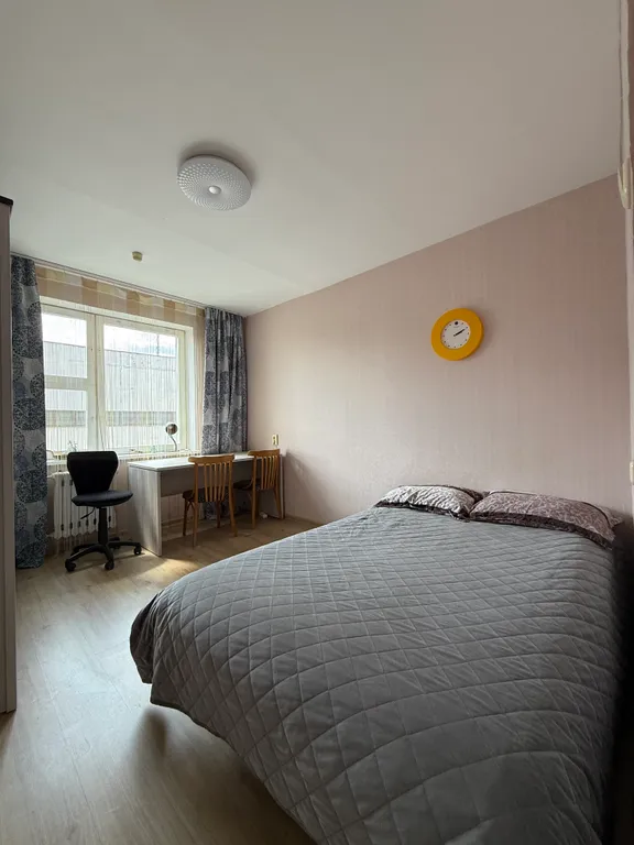 Заселение 24/7, Новый кирпичный 2020