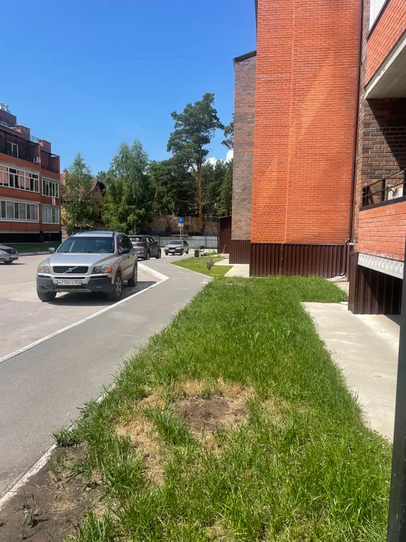 Уютное место на берегу Обского моря