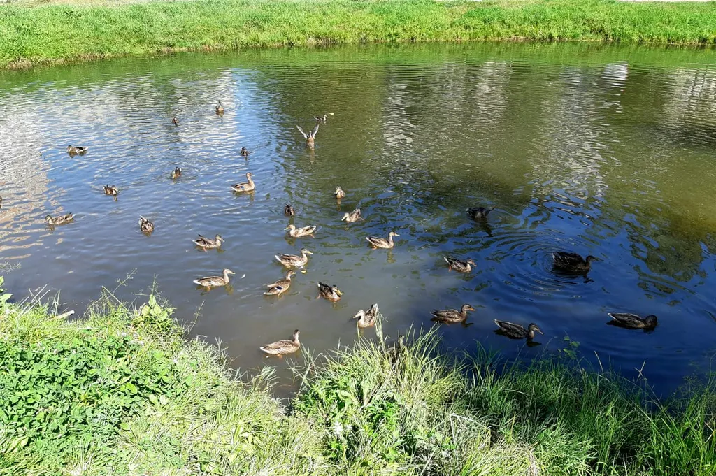 Уютная квартира в 5 минутах от центра города