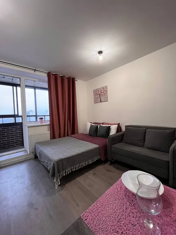 Видовая студия у метро в ЦДС Северный