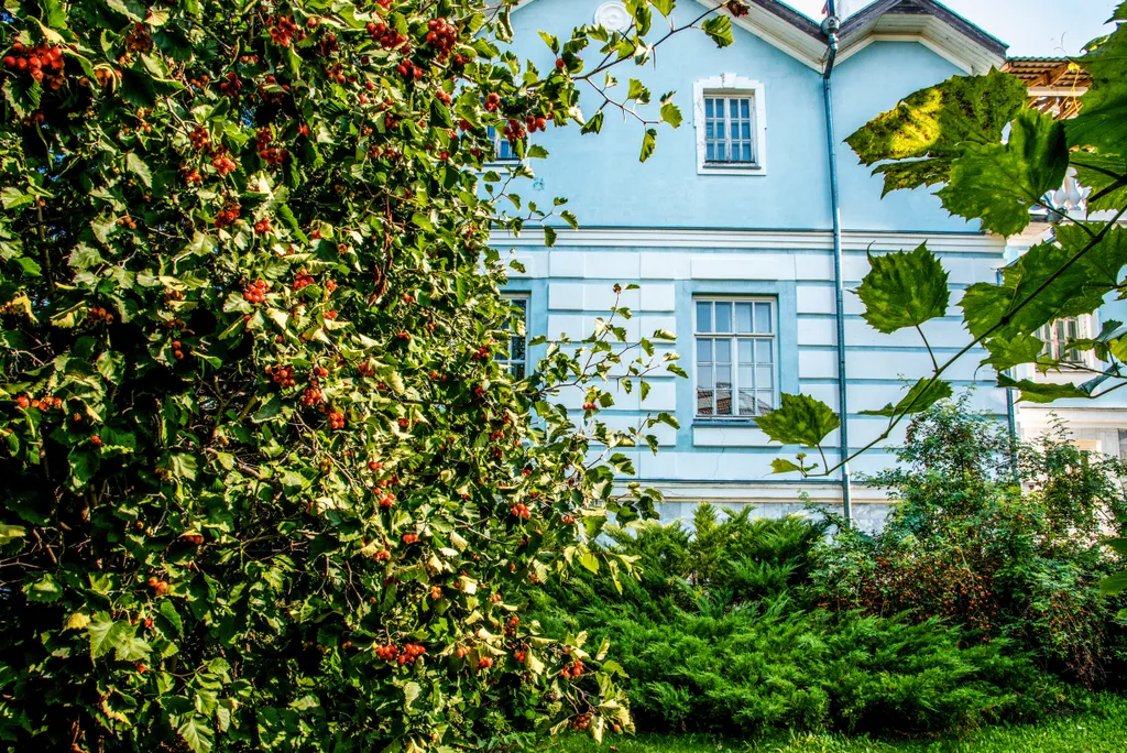 Усадьба Поспеева - весь комплекс