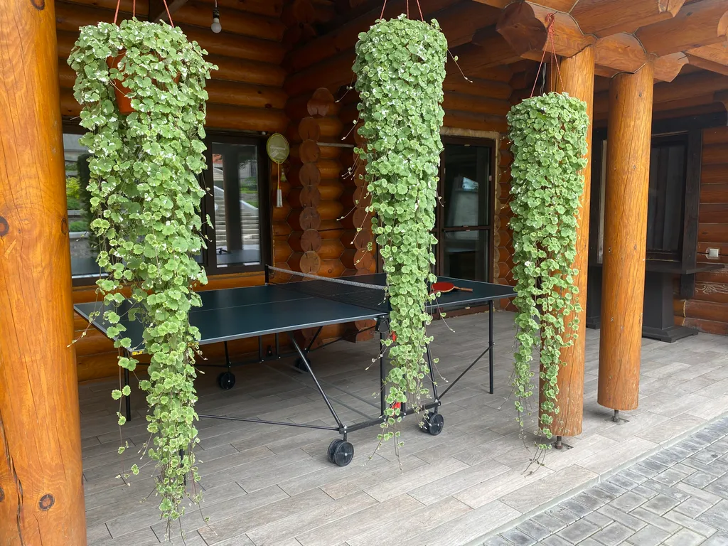 Эко Дом Русская банька