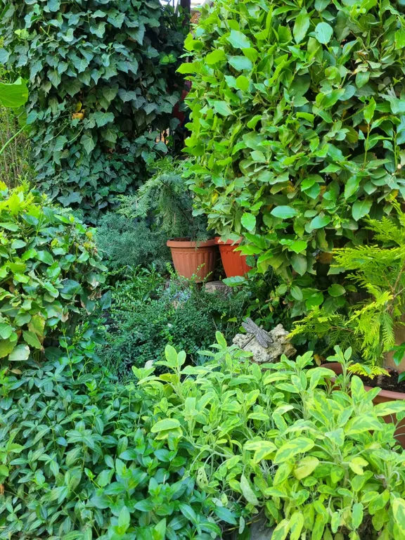 Рядом с морем для тебя,центральная набережная