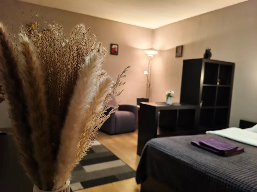 Просторная квартира с балконом в центре