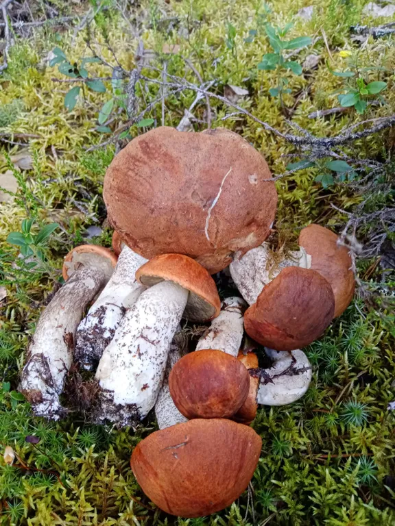 Отдых на Белом море