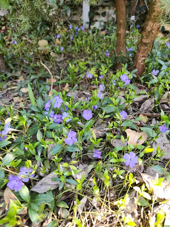 Уютный номер студия в стиле прованс
