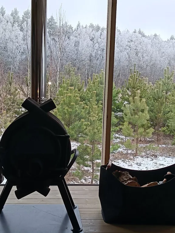 Дом Кедр в соснах с Чаном