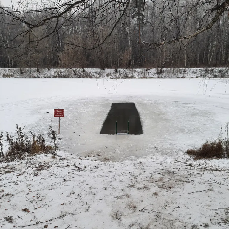 Гости очень любят царство Берендея
