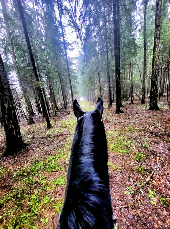 Уютный домик на семейной экоферме