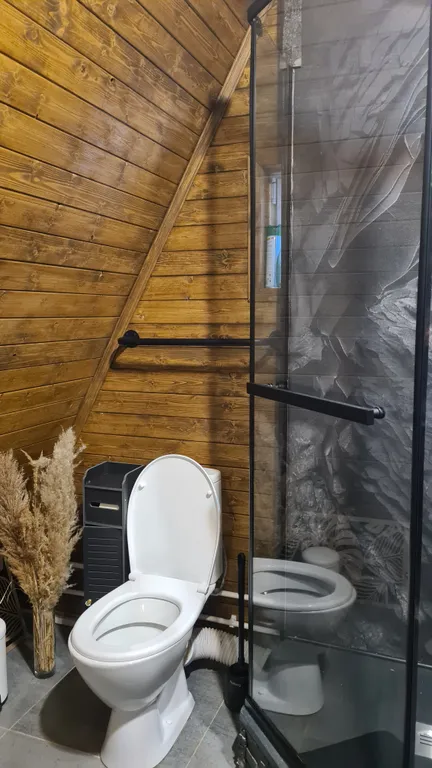 З-комнатный дом У Озера в лесу