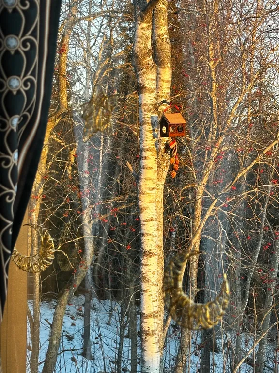 Коттедж Панорамный домик на склоне у Игоры — Орехово