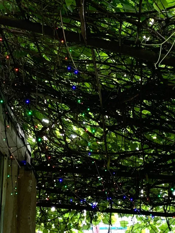 Большой дом с бассейном и диско, в ретро стиле около аэропорта Минск