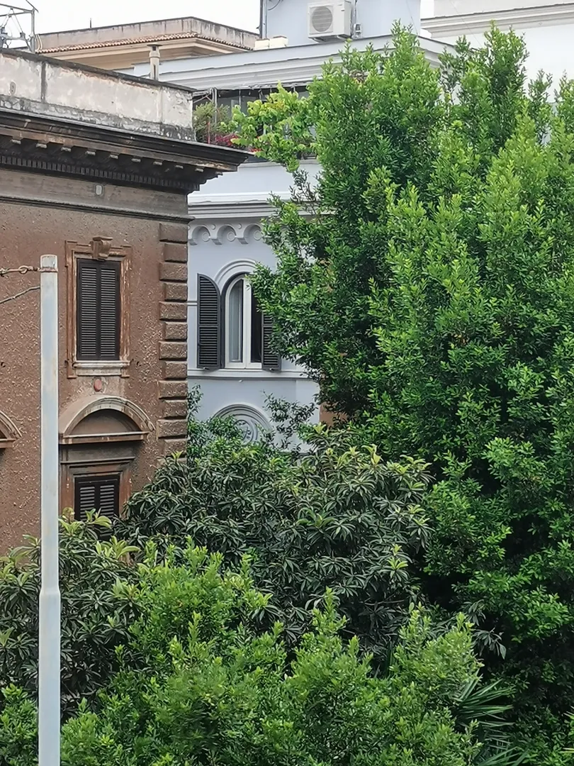 Вид из окна 