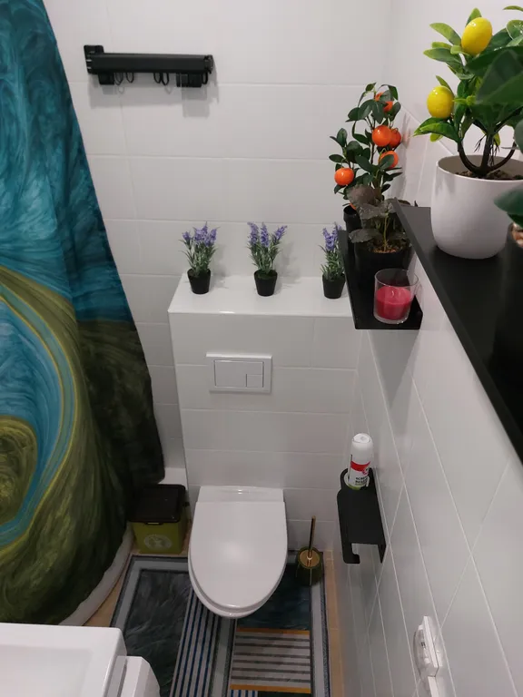 Crazy Frog Studio в деловом центре города