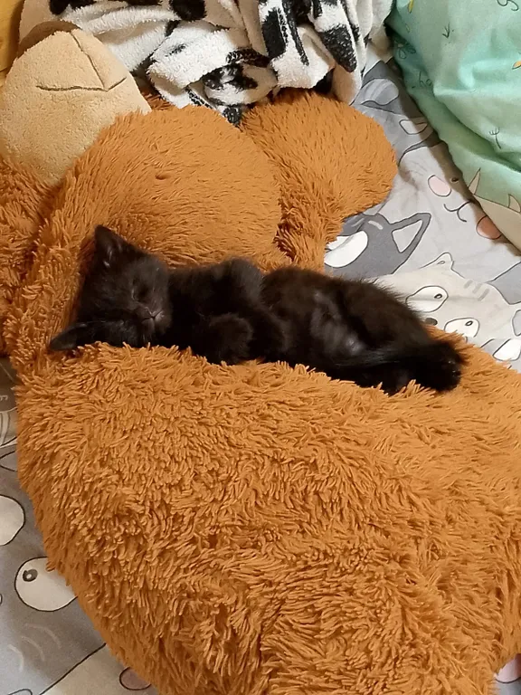 Уютный домик