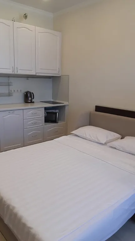 Квартира Квартира Апартамент в центре Олимпийского парка — Сириус