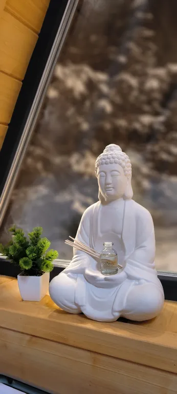 Современный дом в сосновом лесу в 30 минутах от аэропорта