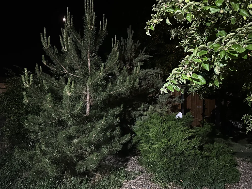 Уютный домик рядом с садом, хвойными деревьями, рядом с тц