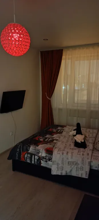 Zebra от Resident Ufa