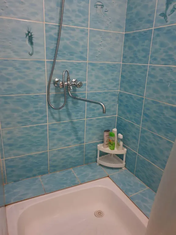 Дом на Селигере