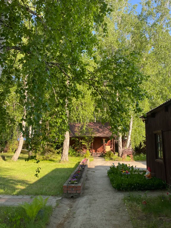 Гостевой дом в лесу