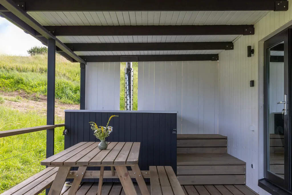 Wow Dacha Астра