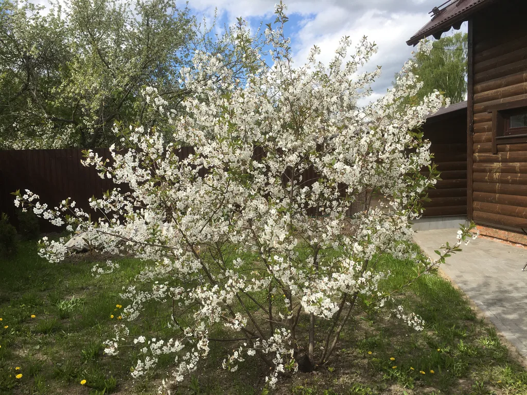 Домик с Сауной 2